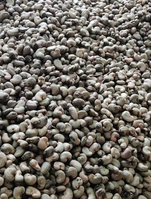 Raw Cashew Nuts
