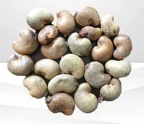 Raw Cashew Nuts